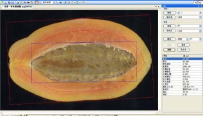杭州万深         LA-S瓜果剖切面、瓤色图像分析仪系统